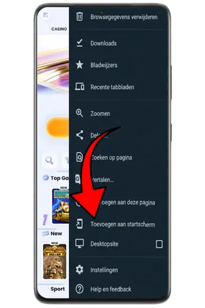 Open het browsermenu om de Chicken Road App te spelen